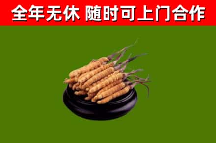 西盟烟酒回收冬虫夏草.jpg